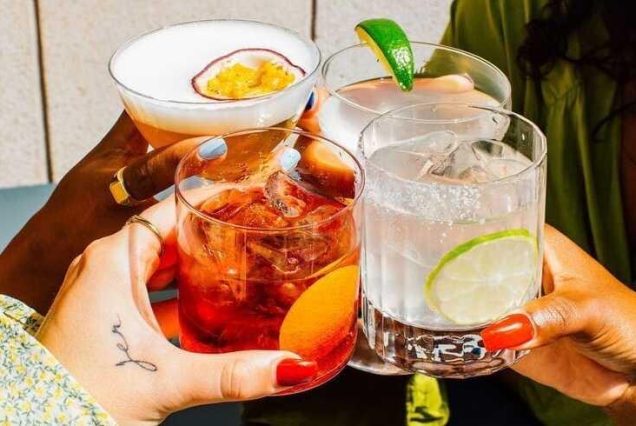 Bosna-Hersek Cocktail Workshop Tour