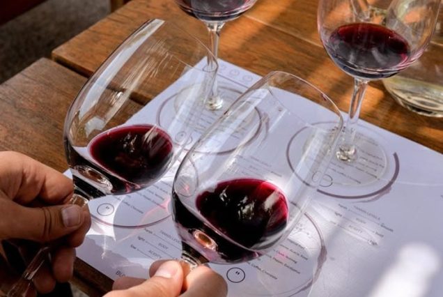 North Macedonia Wine Tasting Test